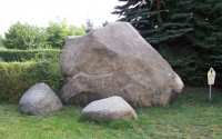 Lehrpfad am Silbersee Foto Lehrpfad